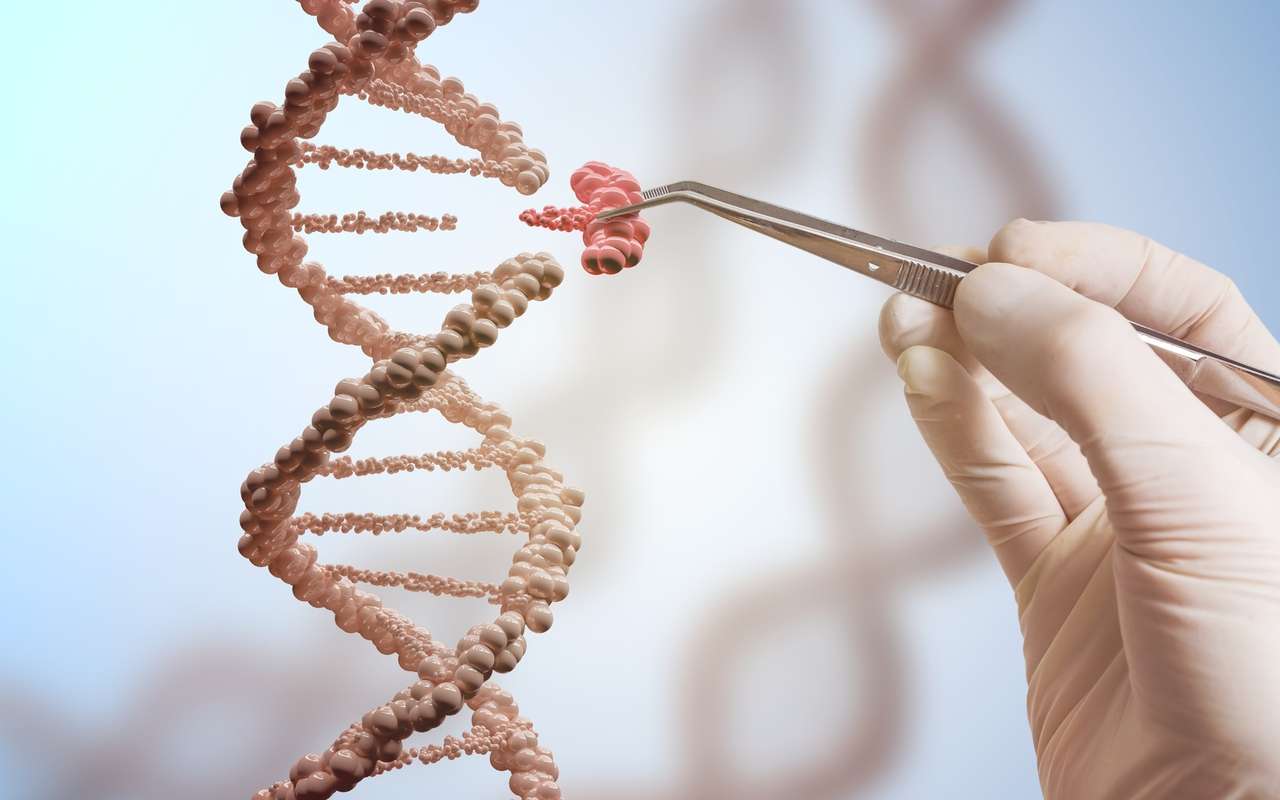 Evoluutio On Käyttänyt Kloaakin Muodostumiseen Liittyviä Geenejä Sormien Luomiseen
