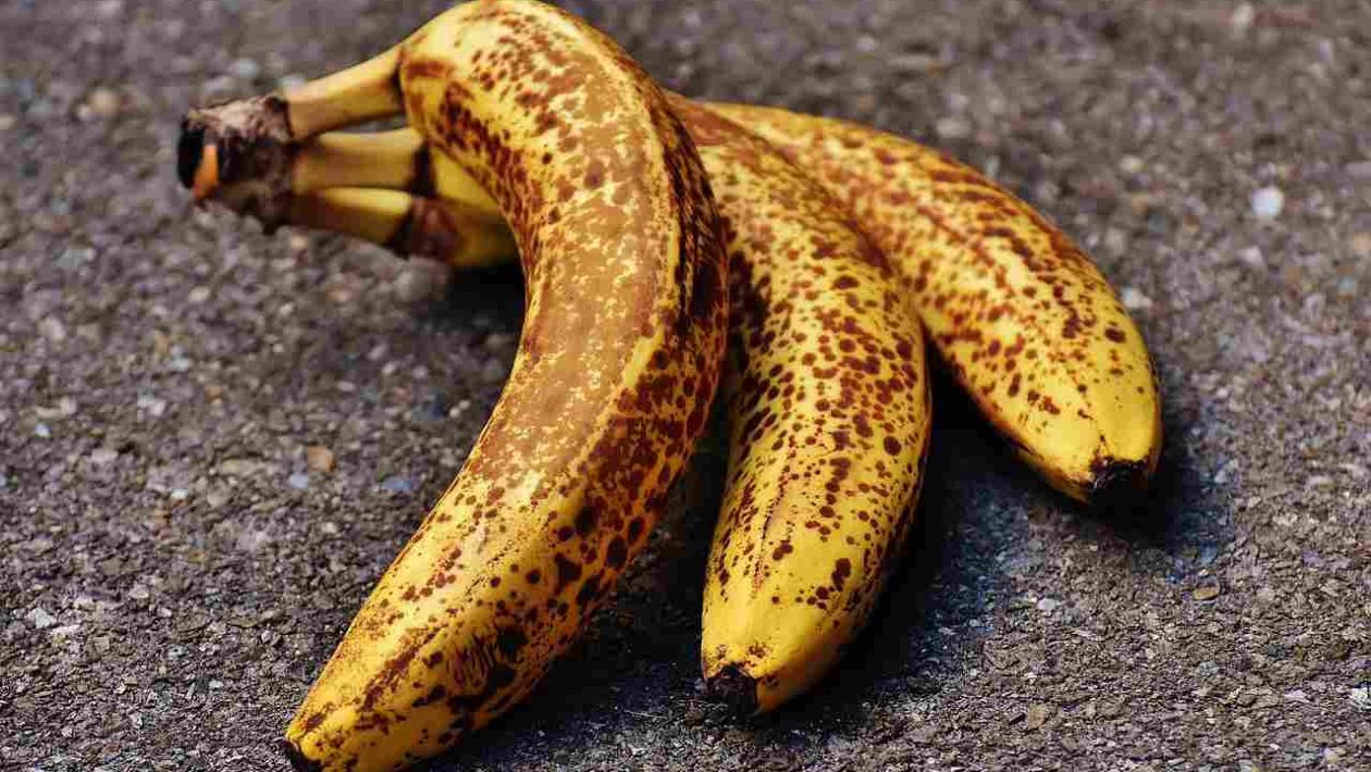 Banaaninkuori