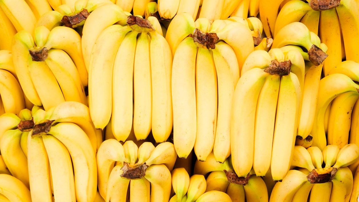 Banaanit