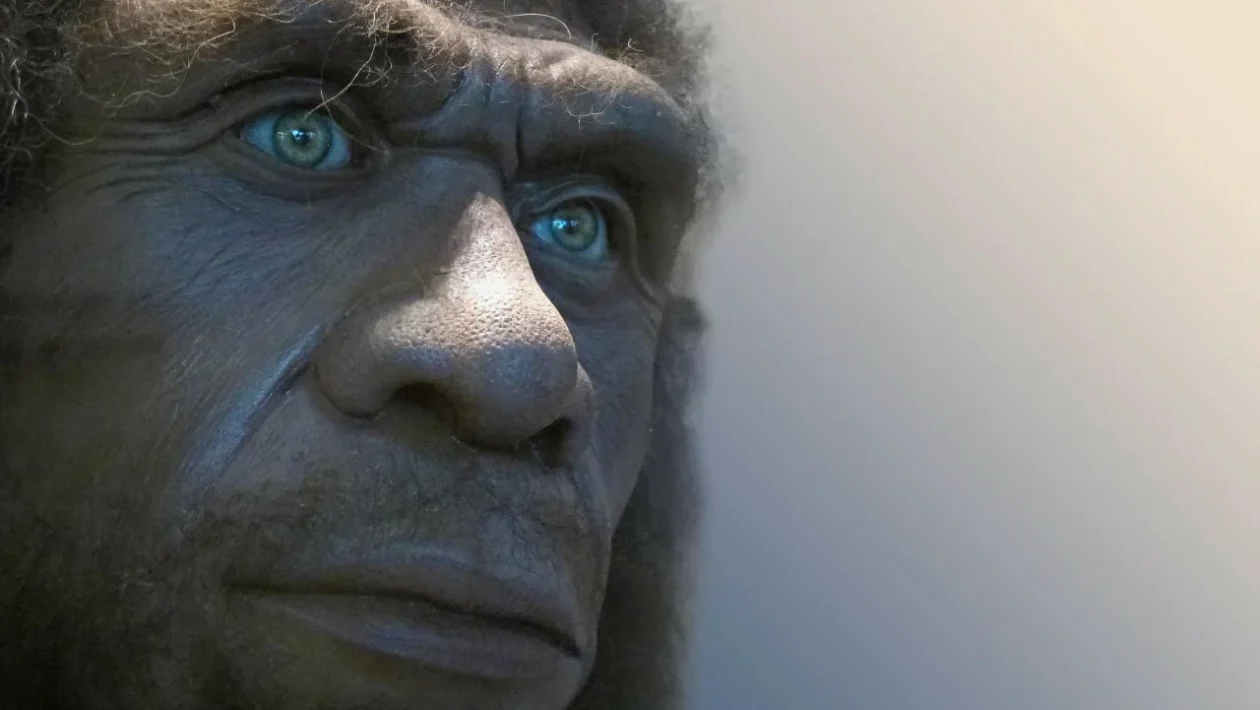 Neandertalilaisen