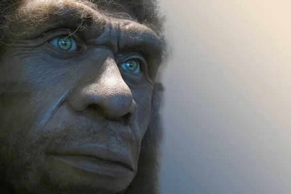 Neandertalilaisen