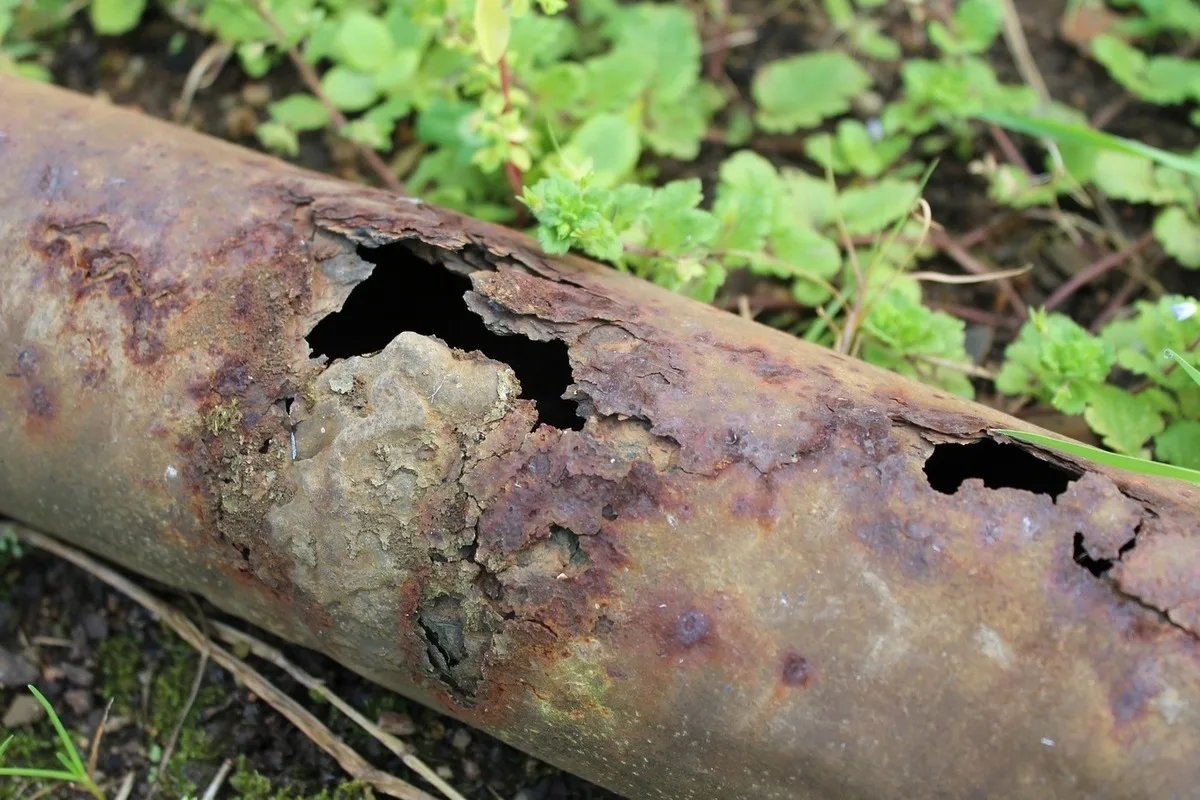 Hän Löytää Puuhun Juuttuneen Metalliputken, Joka Osoittautuu 75 000 Euron Arvoiseksi Historialliseksi Esineeksi: ”Se Oli Täysin Odottamatonta.”