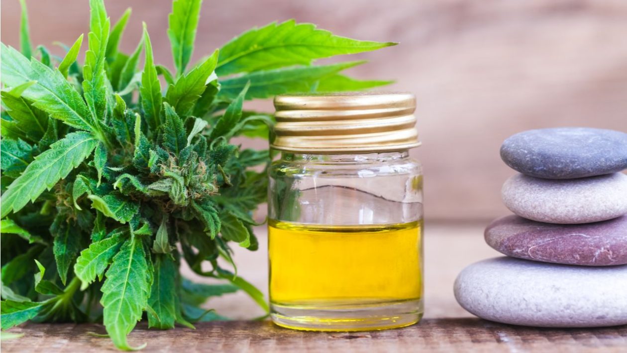 Kannabiksen