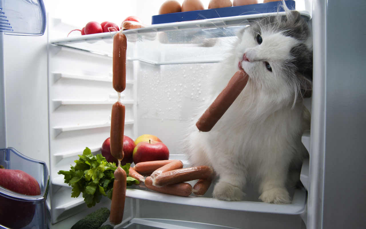 Mikä On Jääkaapin Oven Kumitiivisteen Nimi Ja Kuinka Usein Se Tulisi Vaihtaa?