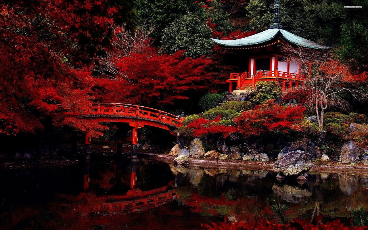 Mitä Japanilaiset Puutarhurit Tekevät Toisin (Ja Mitä Meidän Kaikkien Kannattaisi Ottaa Mallia)