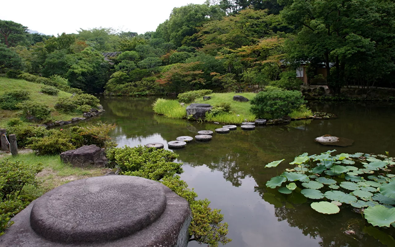 Mitä Japanilaiset Puutarhurit Tekevät Toisin (Ja Mitä Meidän Kaikkien Kannattaisi Ottaa Mallia)