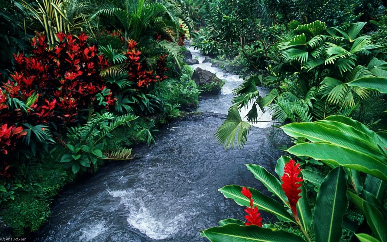 Rauhallisin Costa Rica