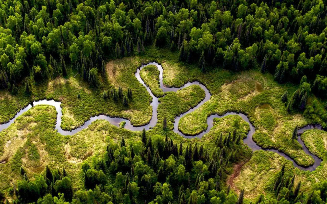 Kaikkien Ennusteiden Vastaisesti Amazonilla Tapahtuu Täysin Päinvastainen Kehitys Kuin Ilmastotieteilijät Ennustivat.