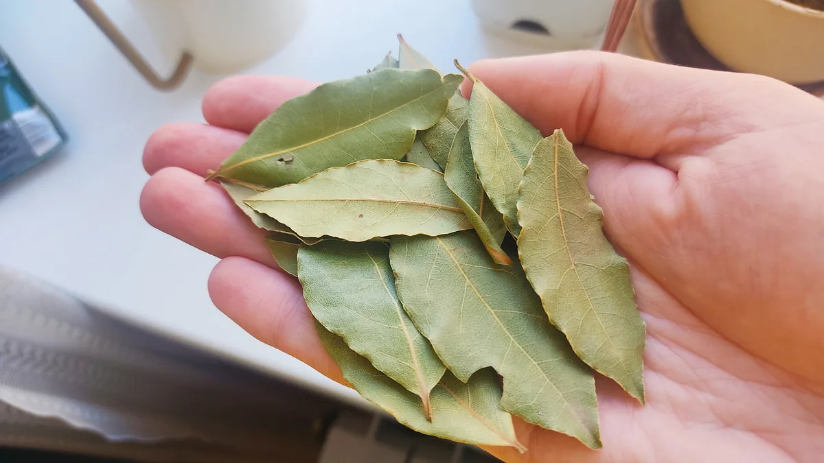 Miksi Laakerinlehtiä Suositellaan Sekoitettavaksi Ruokasoodaan Ja Mihin Sitä Käytetään?