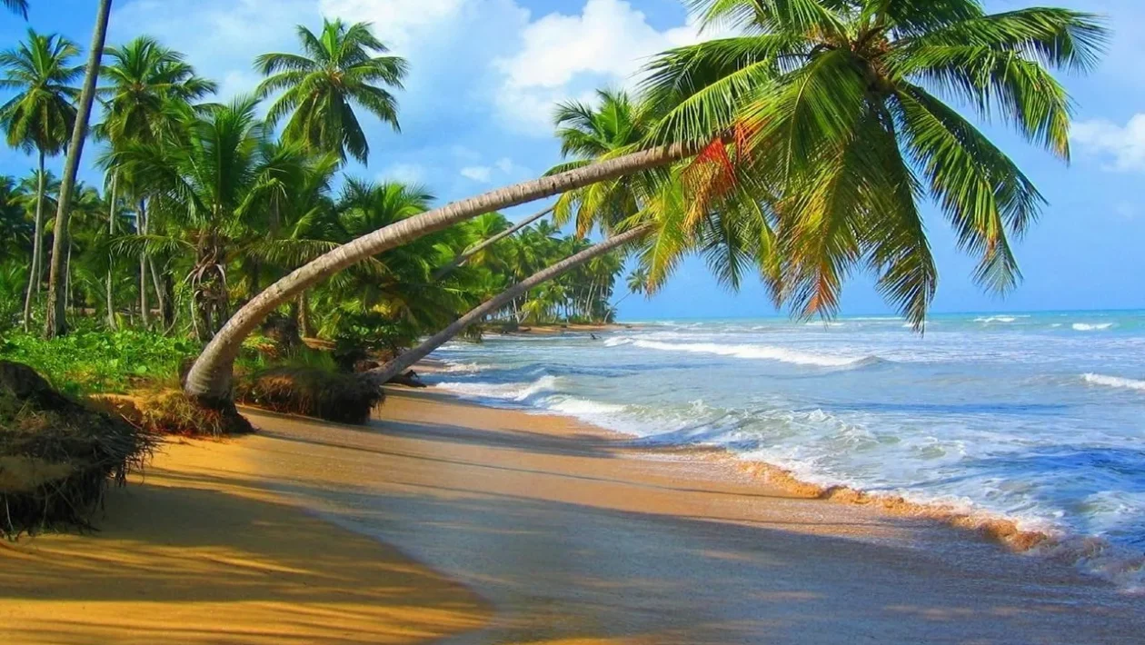 Costa