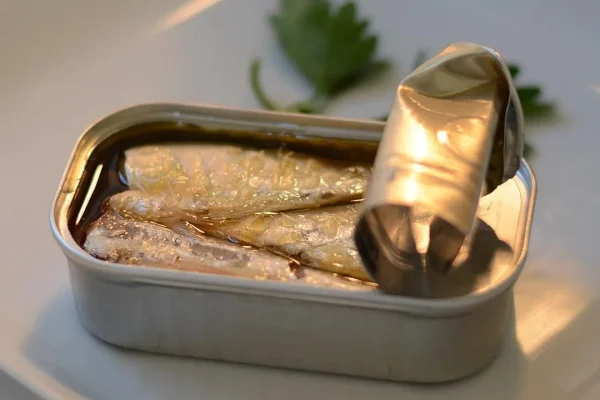 Tutkijat