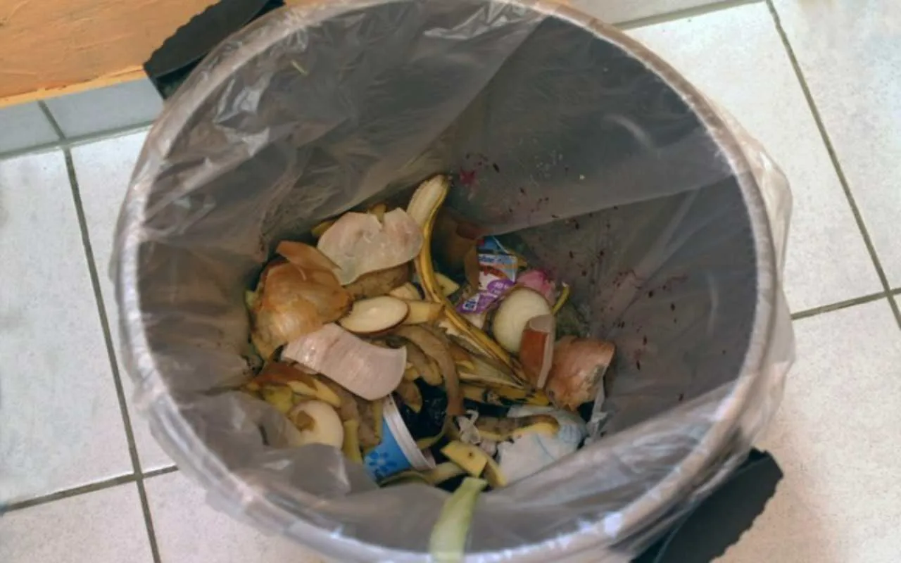 Kuinka Poistaa Epämiellyttävät Hajut Roskakorista: Tapa Poistaa Haju Koko Keittiöstä Ja Karkottaa Hyönteiset.
