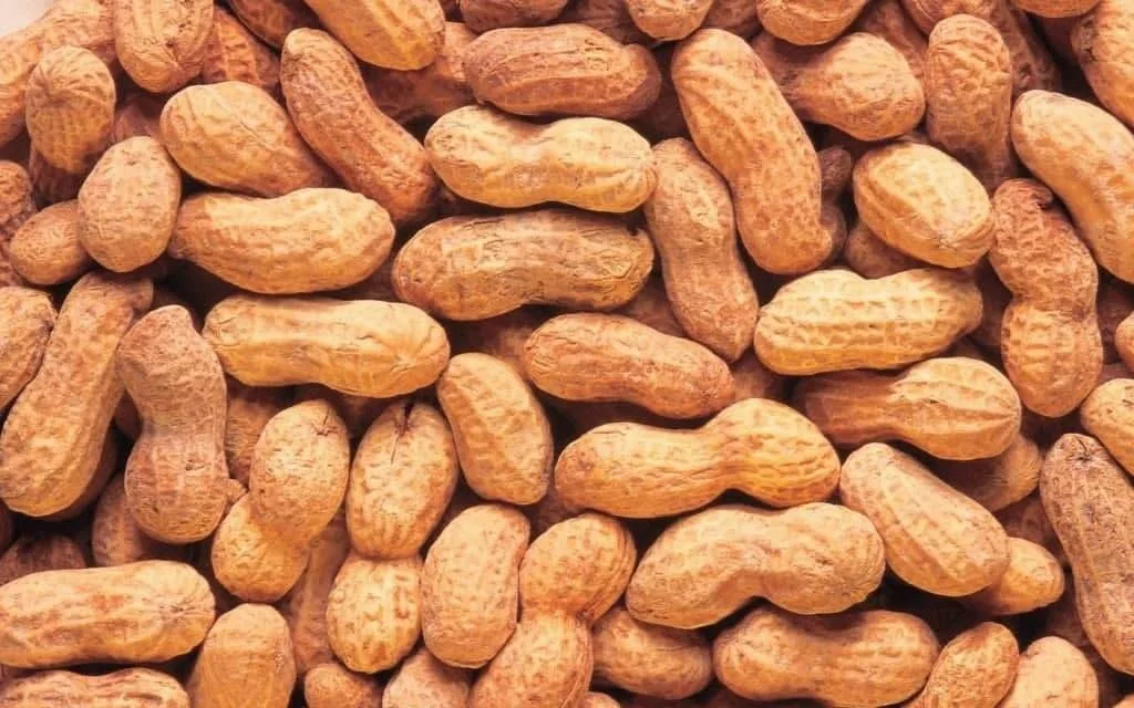 Mikä Pähkinä Sisältää Enemmän Proteiinia Kuin Munat Ja Auttaa Alentamaan Kolesterolia?