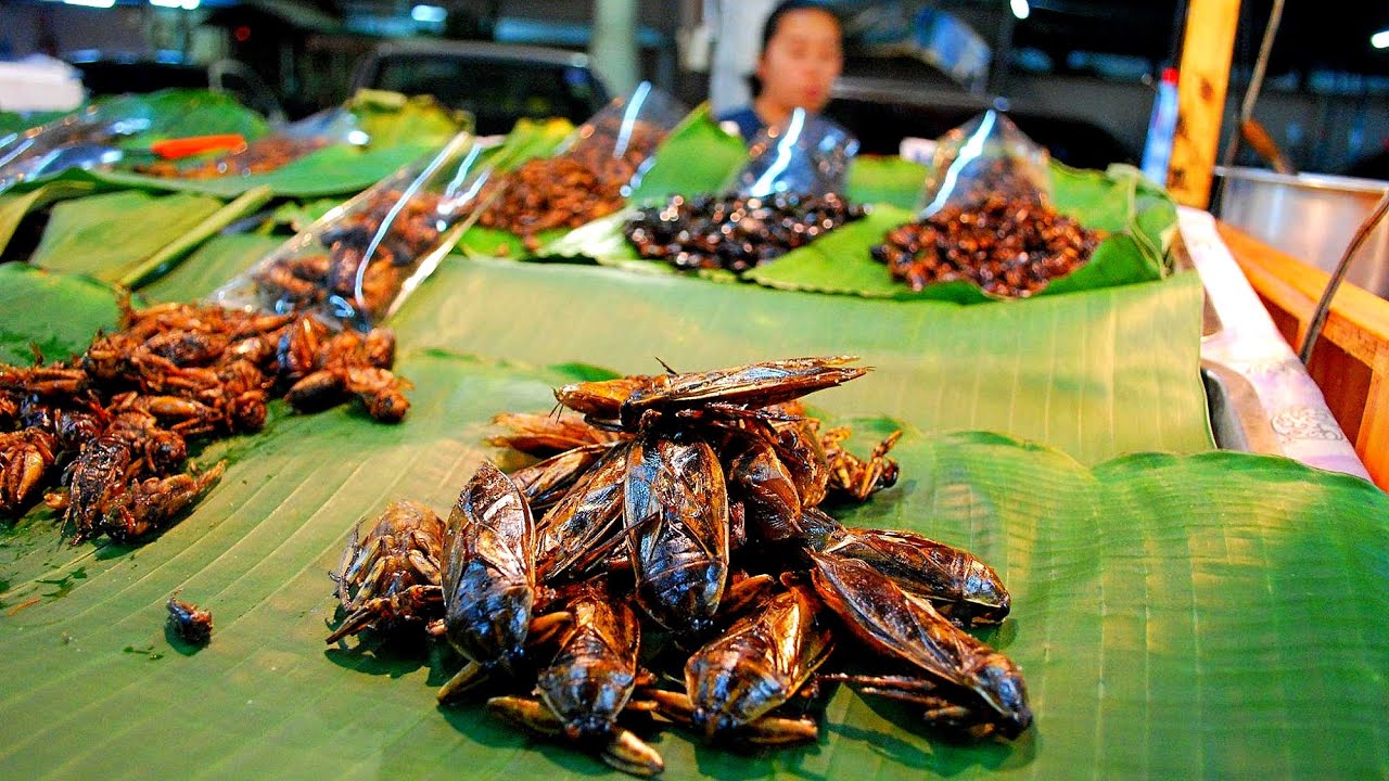 Miltä Hyönteiset Maistuvat? Ekologinen, Proteiinipitoinen Ruoka, Joka On Kasvattamassa Suosiotaan Ravintoloissa.
