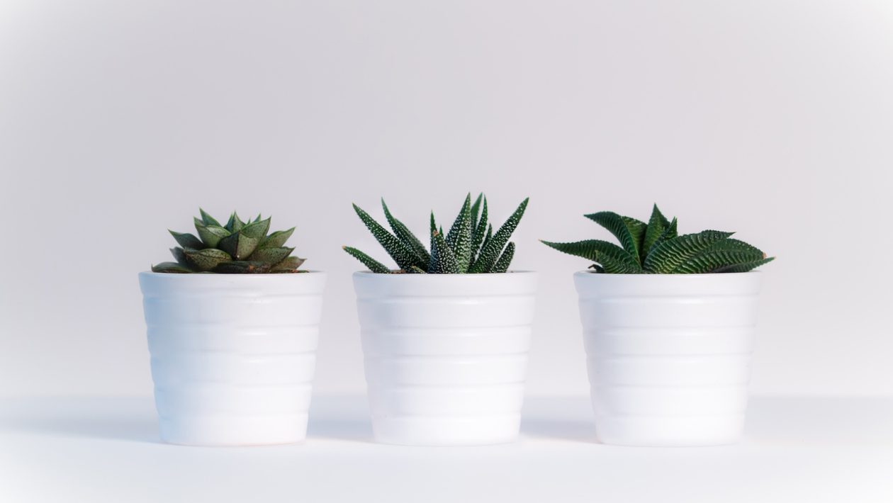 Minimalistiseen