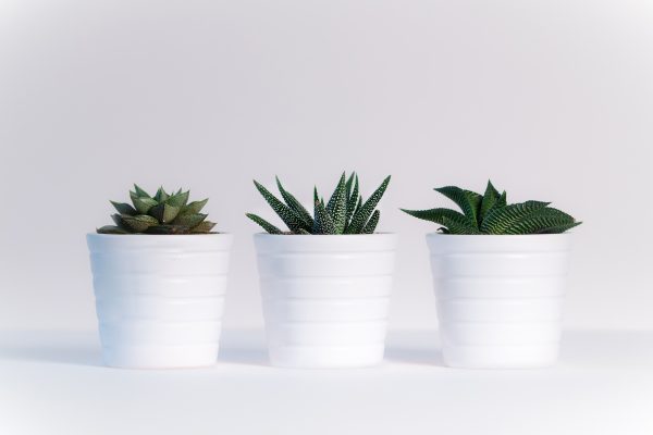 Minimalistiseen