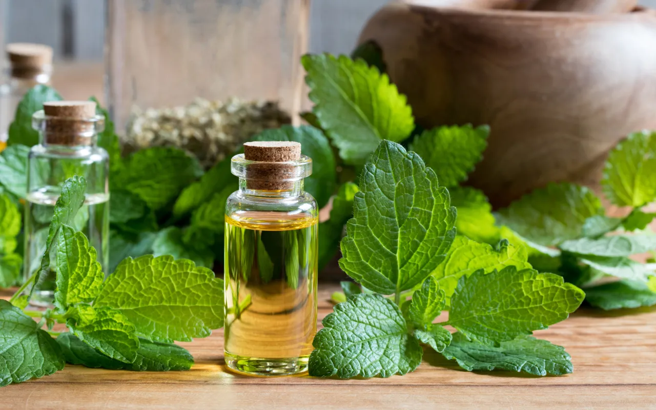 Hyvästi, Muurahaiset: Eteeristen Öljyjen Menetelmä, Joka Täyttää Kotisi Tuoksulla Ja Karkottaa Muurahaiset