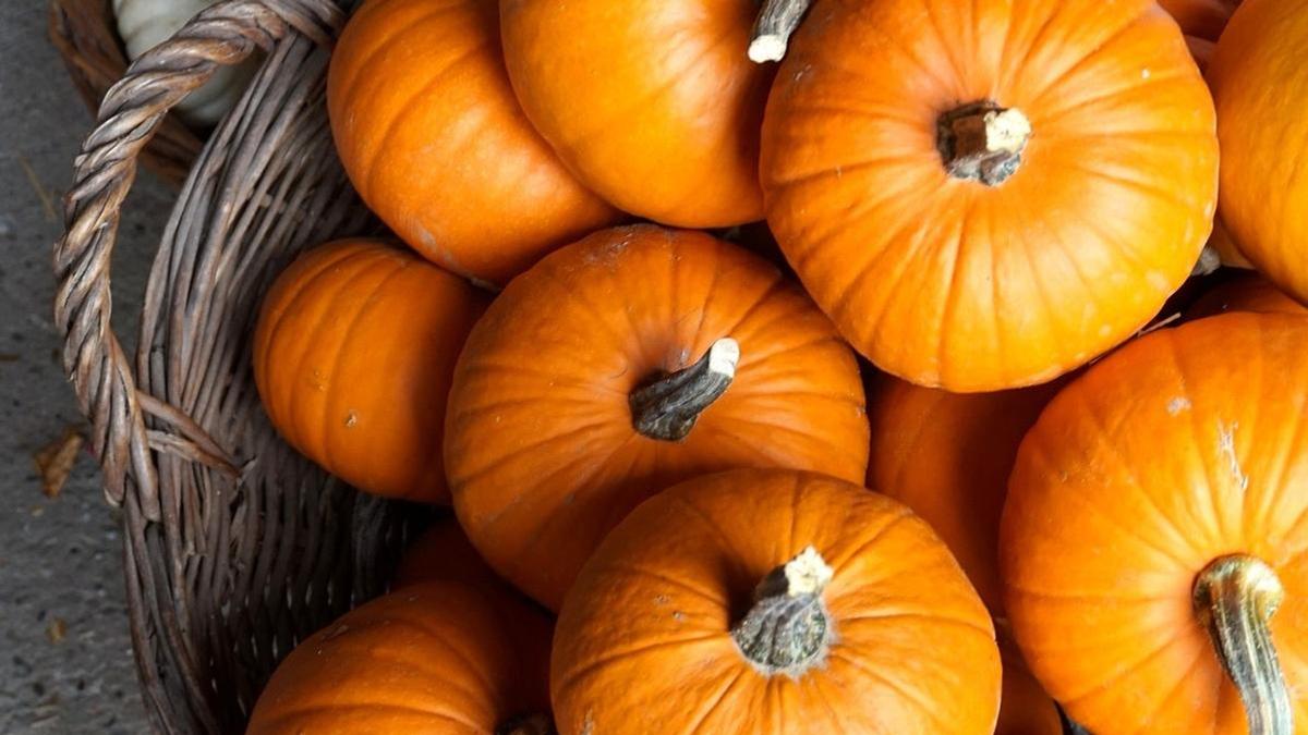 Tämä Kasvislasagne Kurpitsalla On Todellinen Herkku, Kun Se Paistetaan Uunissa.