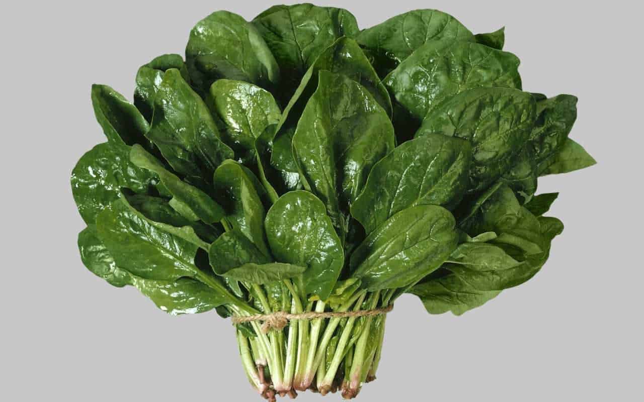 Tämä Ihana Uunissa Paistettu Ruoka Toivottaa Syksyn Tervetulleeksi.