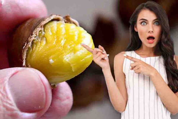 Et Tarvitse Rei'Itettyä Pannua Nauttiaksesi Niistä Näin: Paistettuja Kastanjoita, Helppoja, Makeita Ja Valmiita Vaivattomasti (Sisältä Pehmeä Ja Päältä Rapeat)