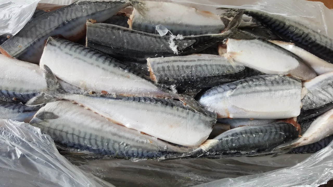 Kalastusaluksen Kapteeni Erotettiin, Koska Alus Oli Kiinnittynyt Baskien Satamaan Viiden Tonnin Ylimääräisellä Määrällä Sardellia Ilmoitettuun Määrään Nähden.