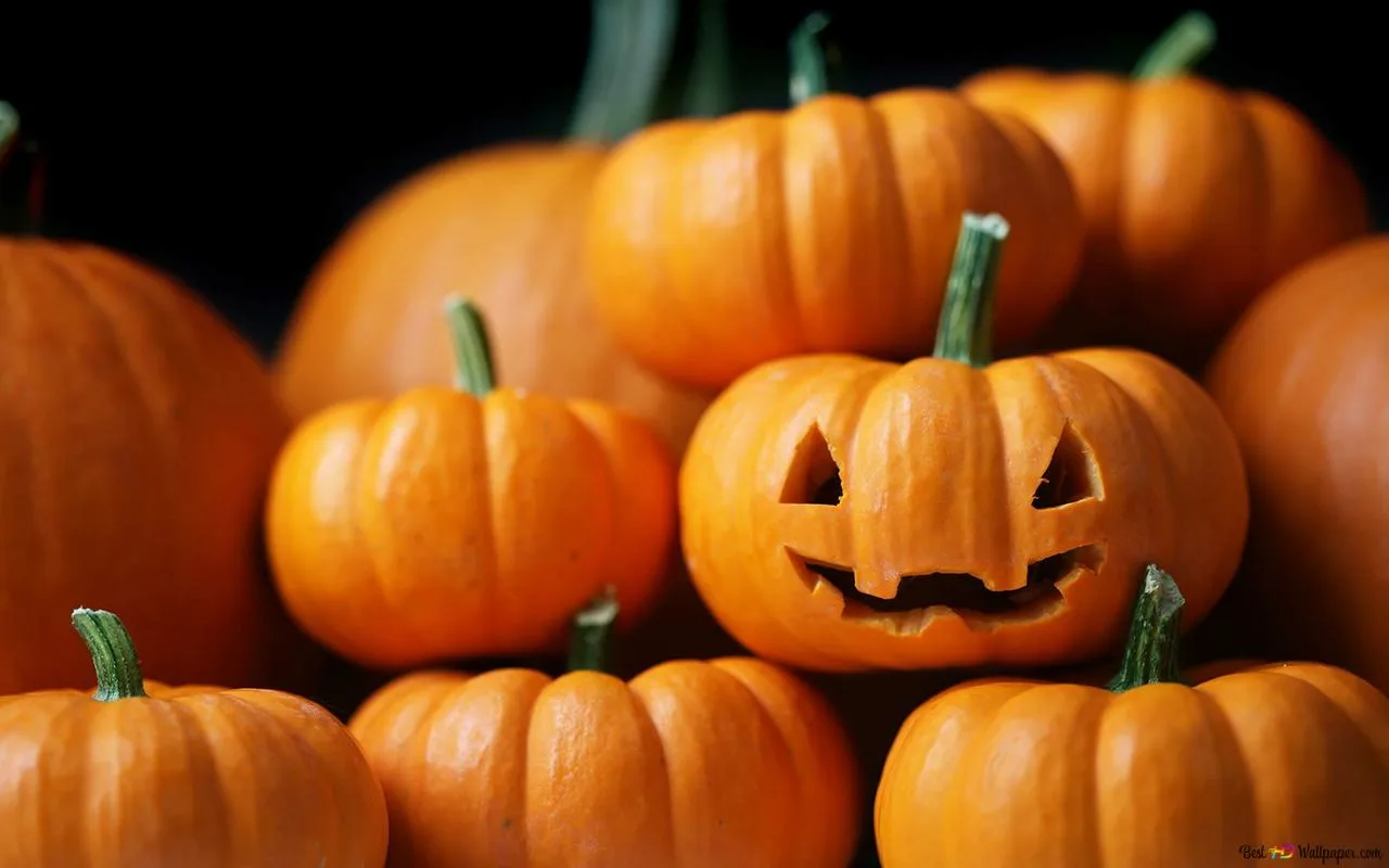 Leikkaamisen Jälkeen: Miten Käyttää Jäljellä Oleva Kurpitsa