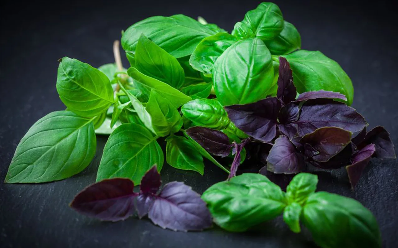 Keittiömestarin Mukaan Nämä Kaksi Ainesosaa Pilaavat Minkä Tahansa Tomaattikastikkeen.