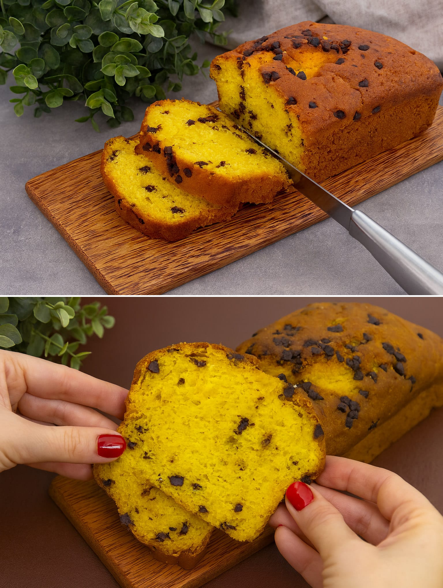 Kurpitsa- Ja Suklaakakku