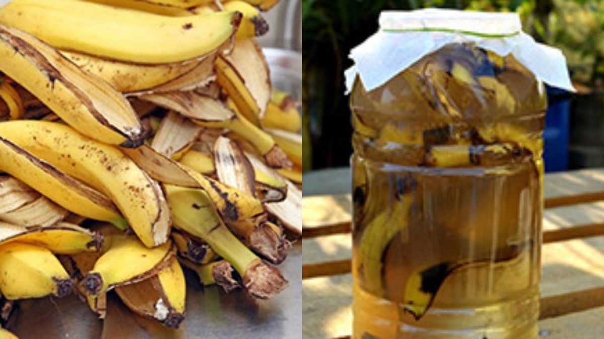 Banaaninkuori, Etikka Ja Sitruuna: Miksi Tätä Seosta Suositellaan Ja Mihin Sitä Käytetään